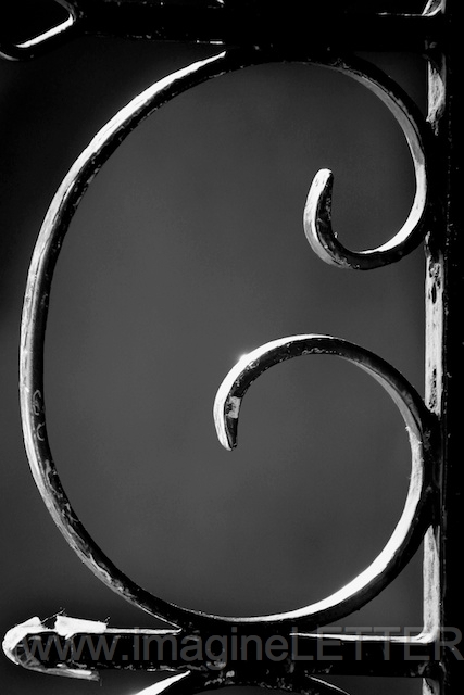 Wall_Art_Alphabet_Photography_Art_ 359.jpg